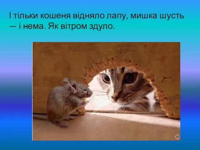 І тільки кошеня відняло лапу, мишка шусть — і нема. Як вітром здуло.