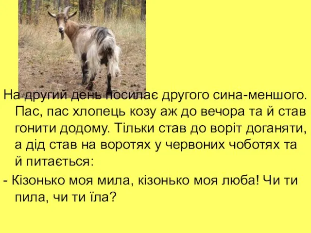 На другий день посилає другого сина-меншого. Пас, пас хлопець козу аж