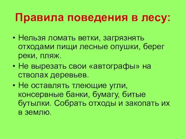 Правила поведения в лесу: Нельзя ломать ветки, загрязнять отходами пищи лесные