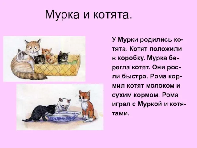 Мурка и котята. У Мурки родились ко- тята. Котят положили в