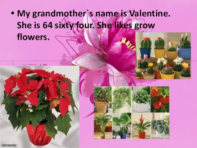 My grandmother`s name is Valentine. She is 64 sixty four. She likes grow flowers.