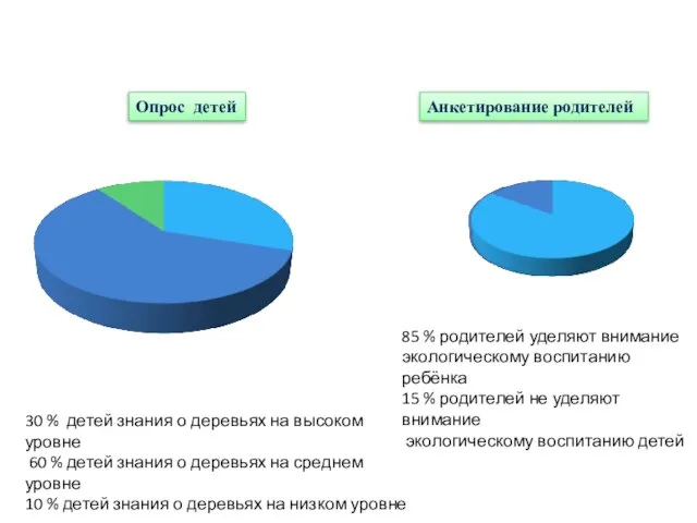 Опрос детей 30 % детей знания о деревьях на высоком уровне