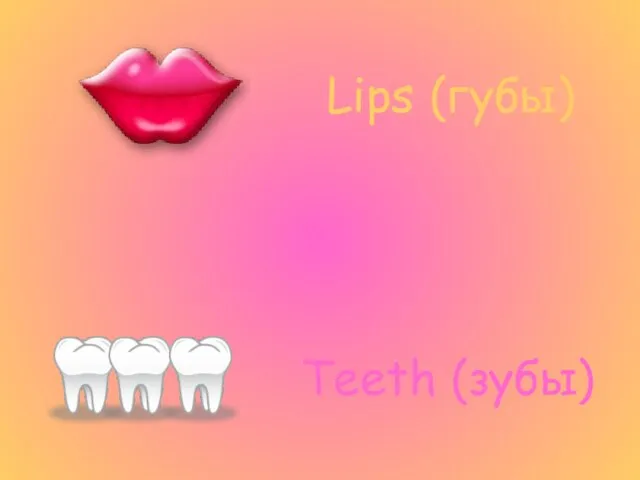 Lips (губы) Teeth (зубы)