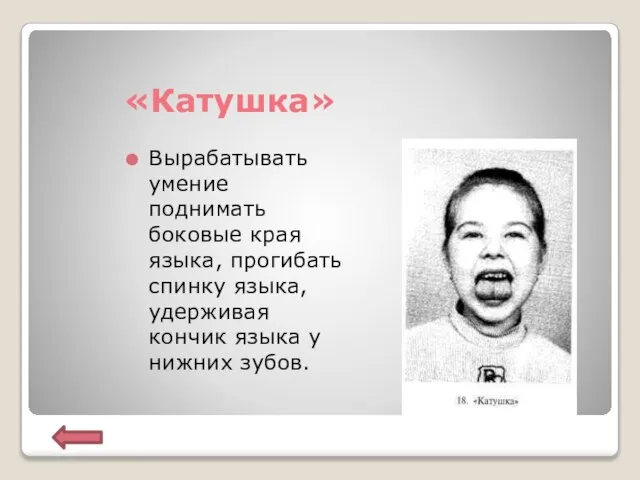 «Катушка» Вырабатывать умение поднимать боковые края языка, прогибать спинку языка, удерживая кончик языка у нижних зубов.