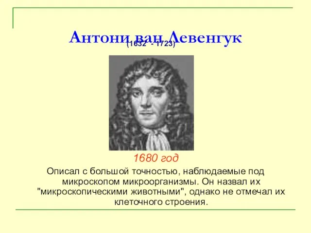 Антони ван Левенгук 1680 год Описал с большой точностью, наблюдаемые под