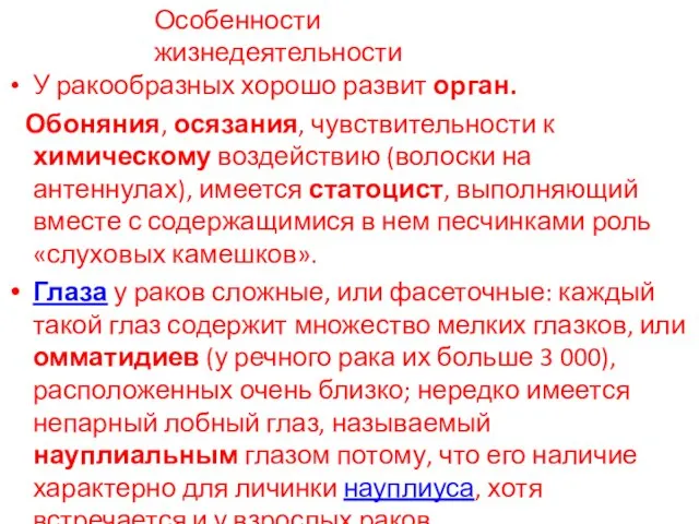 Особенности жизнедеятельности У ракообразных хорошо развит орган. Обоняния, осязания, чувствительности к