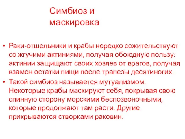 Раки-отшельники и крабы нередко сожительствуют со жгучими актиниями, получая обоюдную пользу: