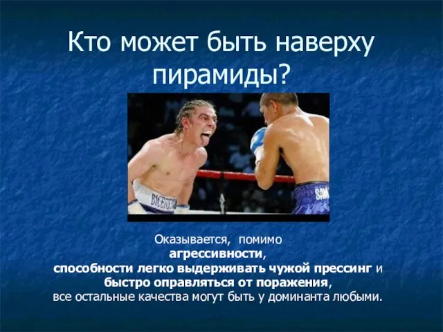 Кто может быть наверху пирамиды? Оказывается, помимо агрессивности, способности легко выдерживать