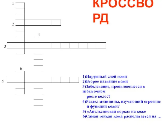 2 3 4 5 6 1)Наружный слой кожи 2)Второе название кожи