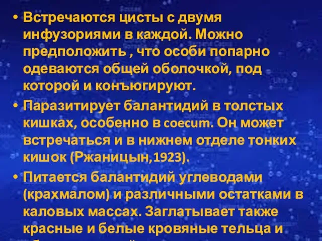 Встречаются цисты с двумя инфузориями в каждой. Можно предположить , что