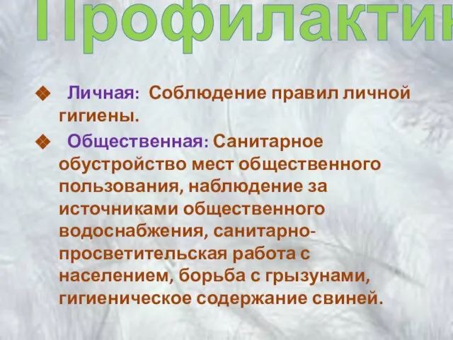 Профилактика Личная: Соблюдение правил личной гигиены. Общественная: Санитарное обустройство мест общественного