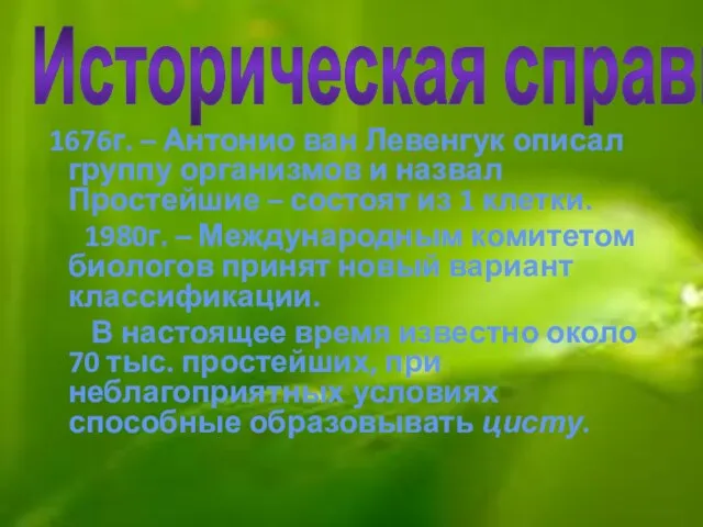 Историческая справка 1676г. – Антонио ван Левенгук описал группу организмов и