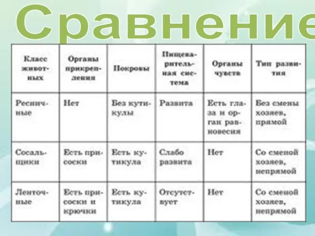 Сравнение: