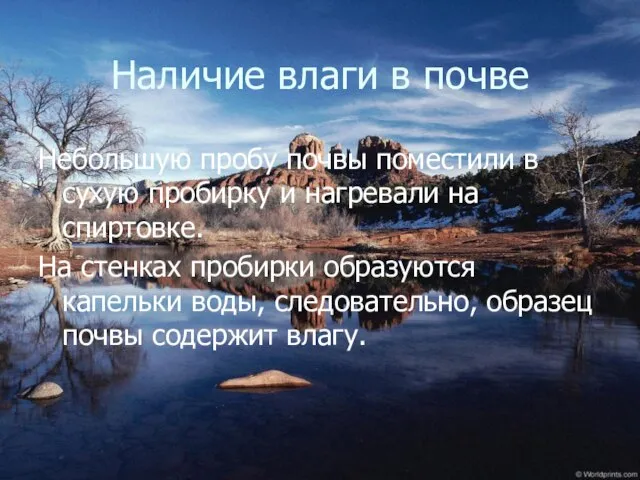 Наличие влаги в почве Небольшую пробу почвы поместили в сухую пробирку