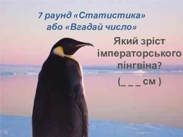 7 раунд «Статистика» або «Вгадай число» Який зріст імператорського пінгвіна? (_ _ _ см )