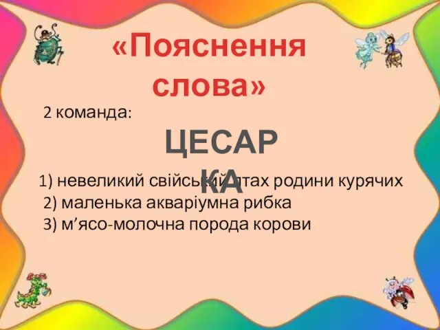 2 команда: 1) невеликий свійський птах родини курячих 2) маленька акваріумна