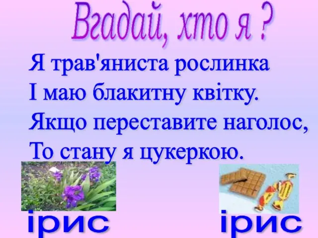 Я трав'яниста рослинка І маю блакитну квітку. Якщо переставите наголос, То