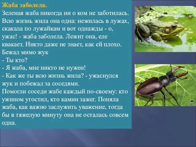 Жаба заболела. Зеленая жаба никогда ни о ком не заботилась. Всю