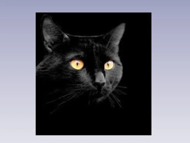 Черной ночью Черный кот Прыгнул Прямо в дымоход. В дымоходе чернота. Отыщи-ка там кота. Е. Измайлов