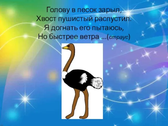 Голову в песок зарыл, Хвост пушистый распустил. Я догнать его пытаюсь, Но быстрее ветра ...(страус)