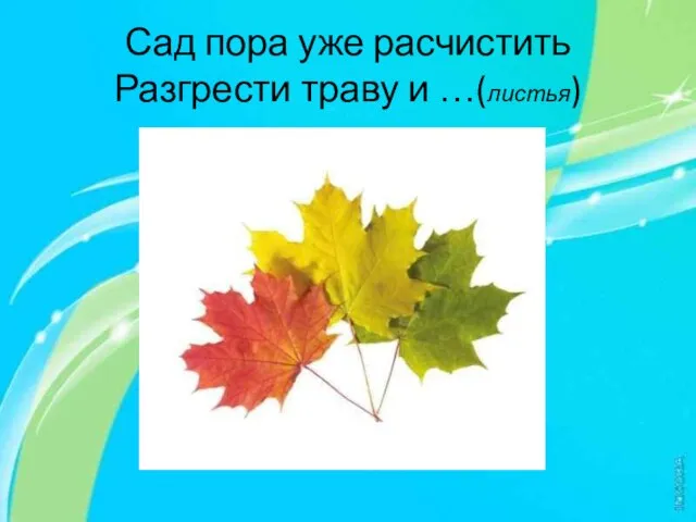 Сад пора уже расчистить Разгрести траву и …(листья)