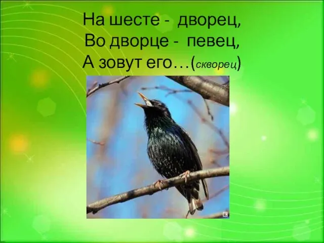 На шесте - дворец, Во дворце - певец, А зовут его…(скворец)