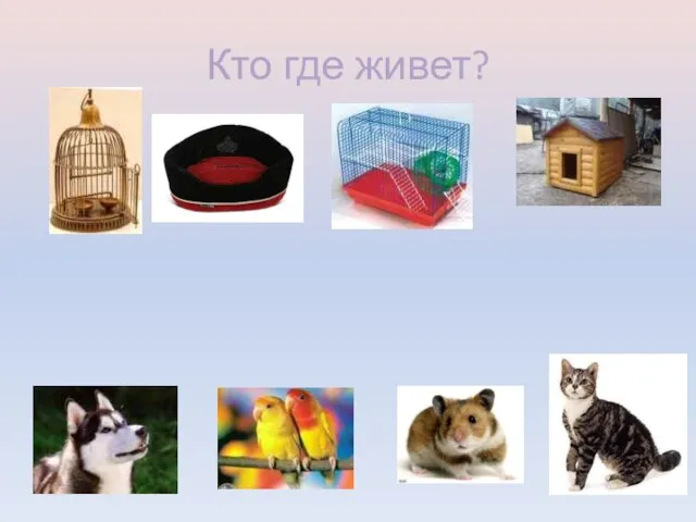 Кто где живет?