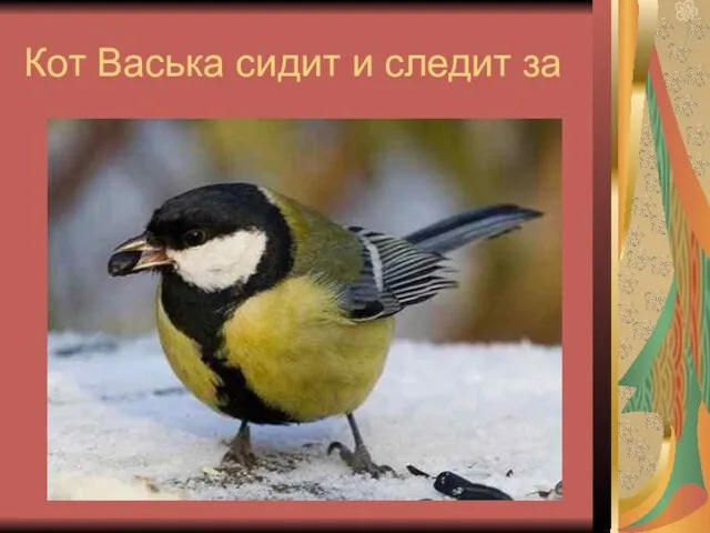 Кот Васька сидит и следит за