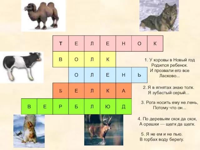 5. Я не ем и не пью. В горбах воду берегу.