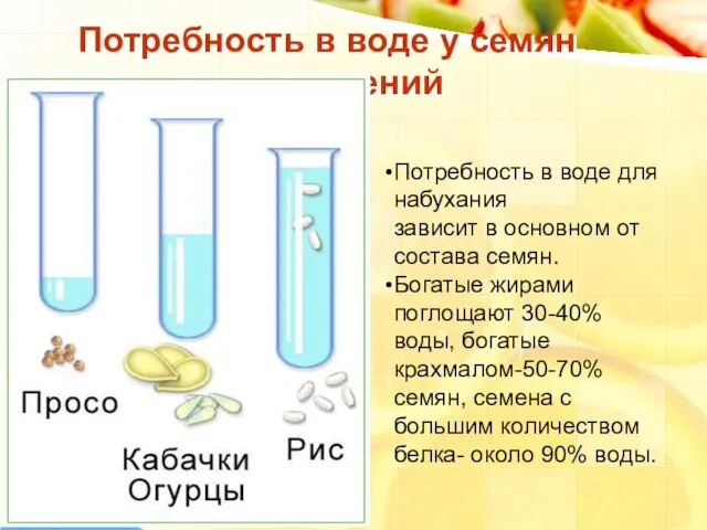 Потребность в воде у семян различных растений Потребность в воде для