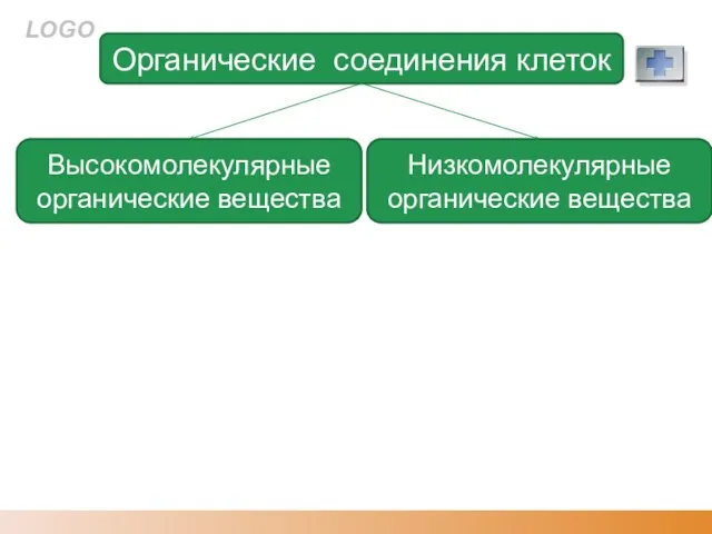 Органические соединения клеток Высокомолекулярные органические вещества Низкомолекулярные органические вещества