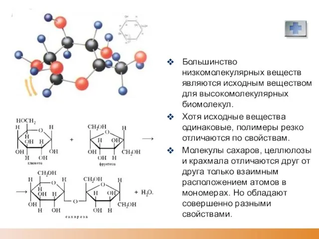 Большинство низкомолекулярных веществ являются исходным веществом для высокомолекулярных биомолекул. Хотя исходные