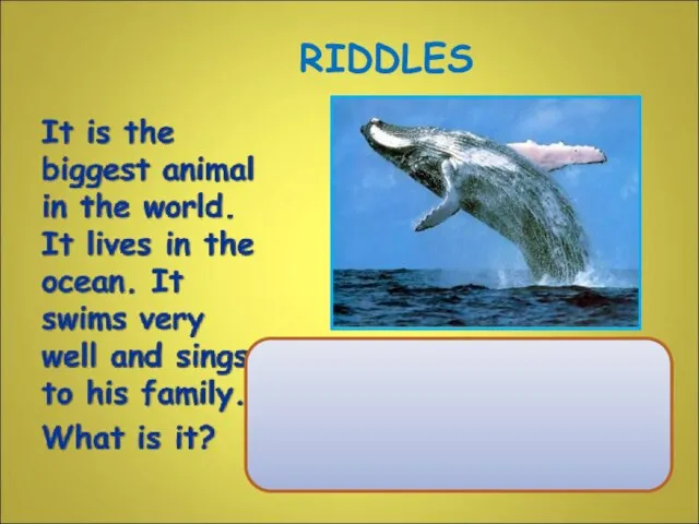 RIDDLES