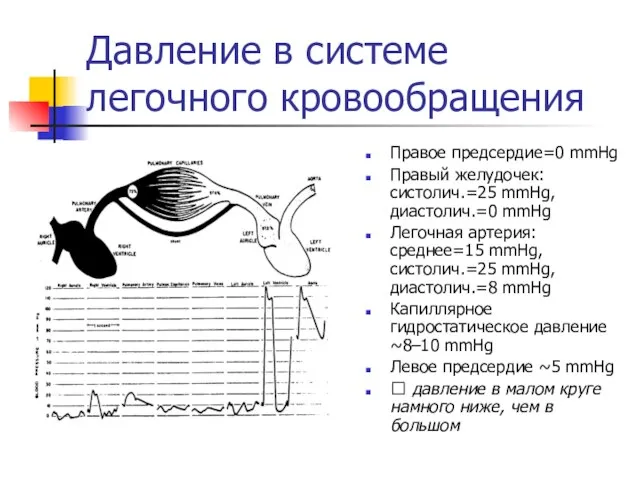 Давление в системе легочного кровообращения Правое предсердие=0 mmHg Правый желудочек: систолич.=25