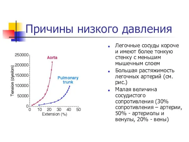 Причины низкого давления Легочные сосуды короче и имеют более тонкую стенку