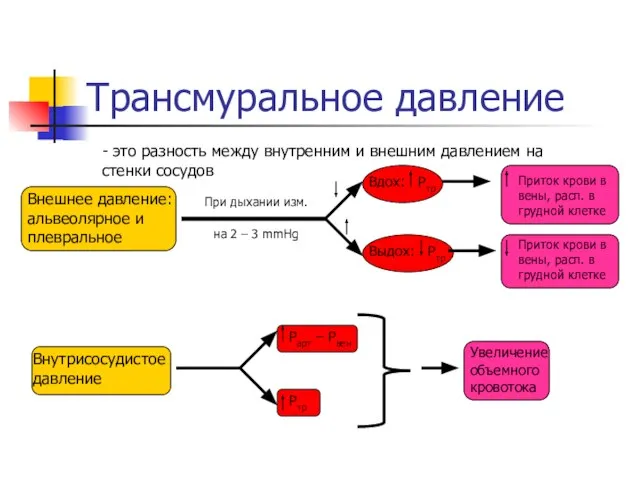 Трансмуральное давление - это разность между внутренним и внешним давлением на