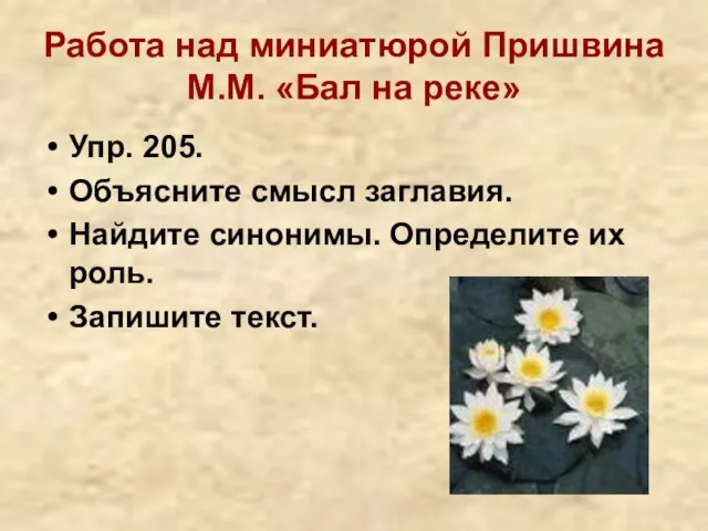 Работа над миниатюрой Пришвина М.М. «Бал на реке» Упр. 205. Объясните