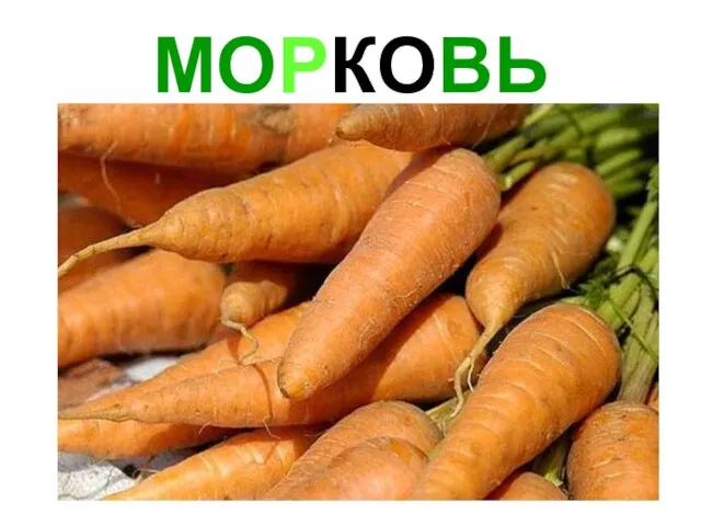 МОРКОВЬ