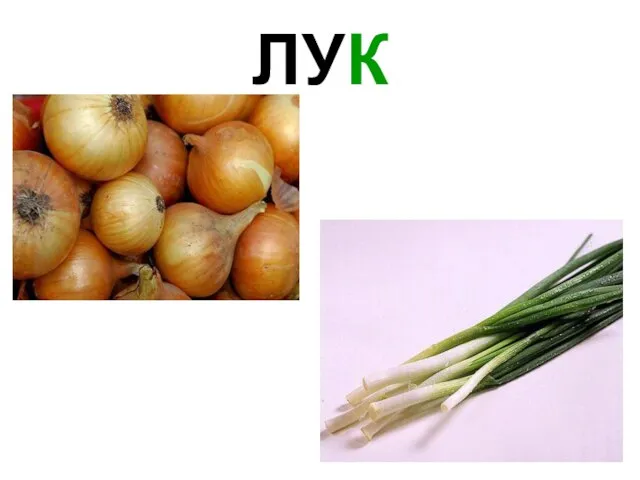 ЛУК