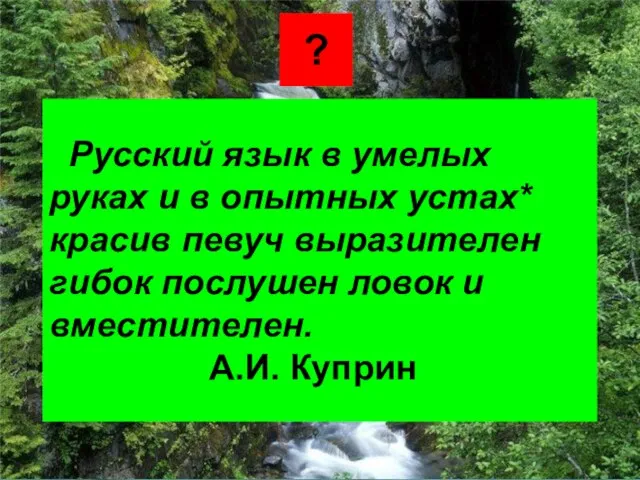 Русский язык в умелых руках и в опытных устах* красив певуч