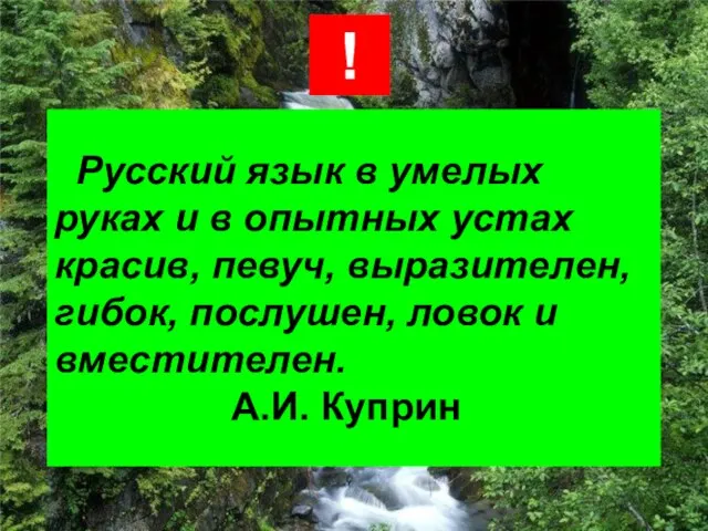 Русский язык в умелых руках и в опытных устах красив, певуч,