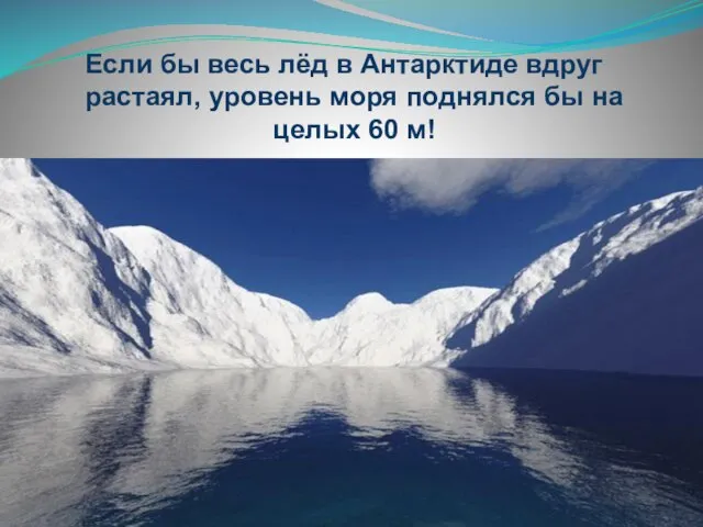 Если бы весь лёд в Антарктиде вдруг растаял, уровень моря поднялся бы на целых 60 м!