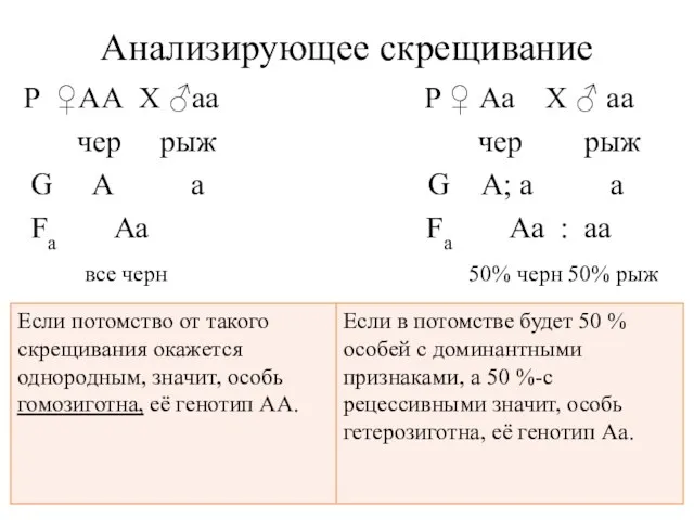 Анализирующее скрещивание Р ♀АА X ♂аa Р ♀ Аа X ♂