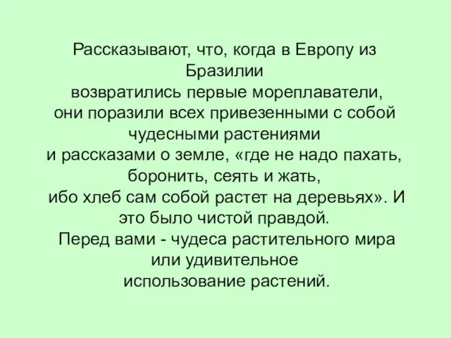 Рассказывают, что, когда в Европу из Бразилии возвратились первые мореплаватели, они