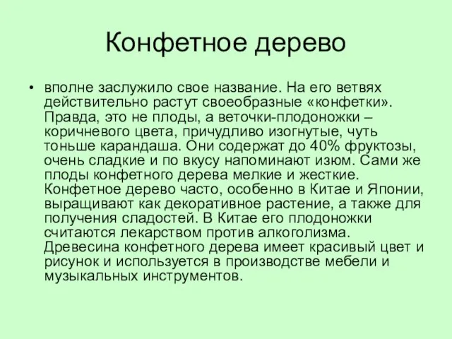 Конфетное дерево вполне заслужило свое название. На его ветвях действительно растут