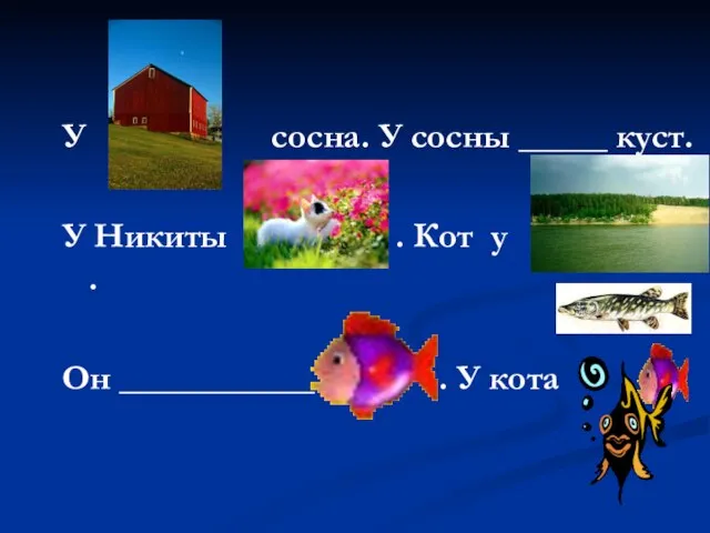 У сосна. У сосны _____ куст. У Никиты . Кот у