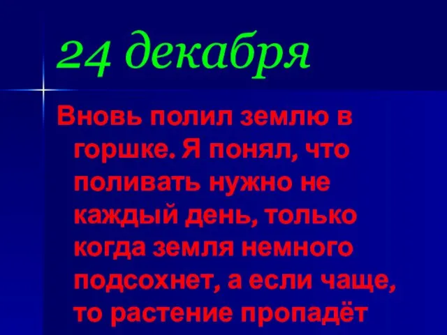 24 декабря Вновь полил землю в горшке. Я понял, что поливать