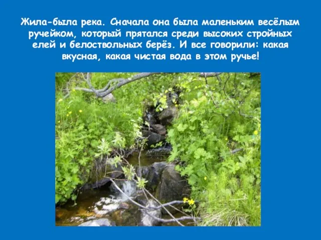 Жила-была река. Сначала она была маленьким весёлым ручейком, который прятался среди