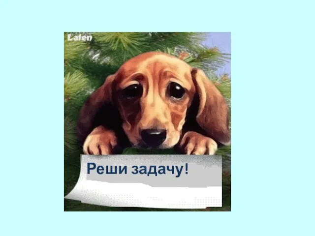 Реши задачу!