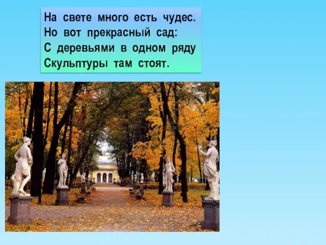 На свете много есть чудес. Но вот прекрасный сад: С деревьями